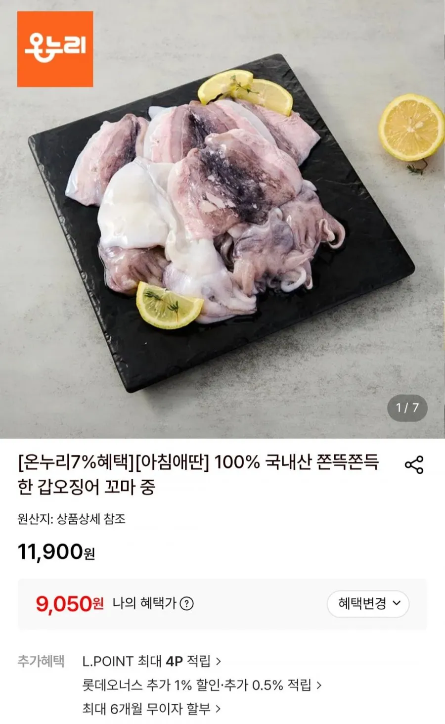 국내산 꼬마갑오징어 500g