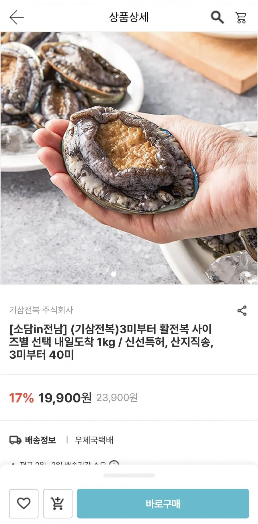 기삼전복 활전복 1kg (9미기준)