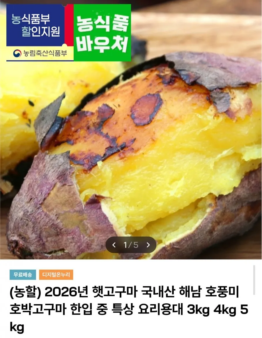 해남 햇 호박고구마 3kg 중