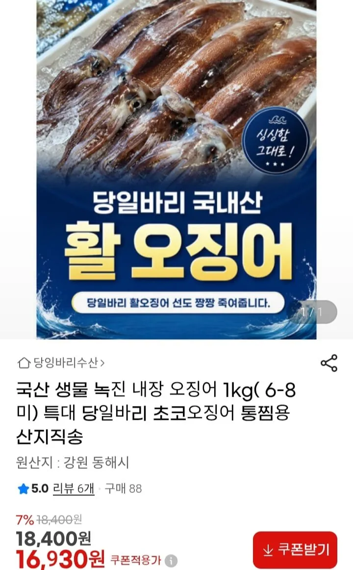 국산 생물 녹진 내장 오징어 1kg( 6-8미) 당일바리 초코오징어 통찜용