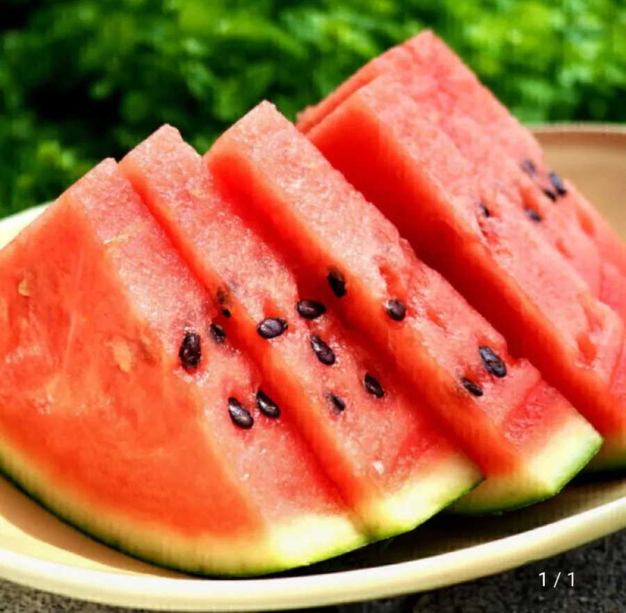 경북 고당도 수박 가정용 7~8kg