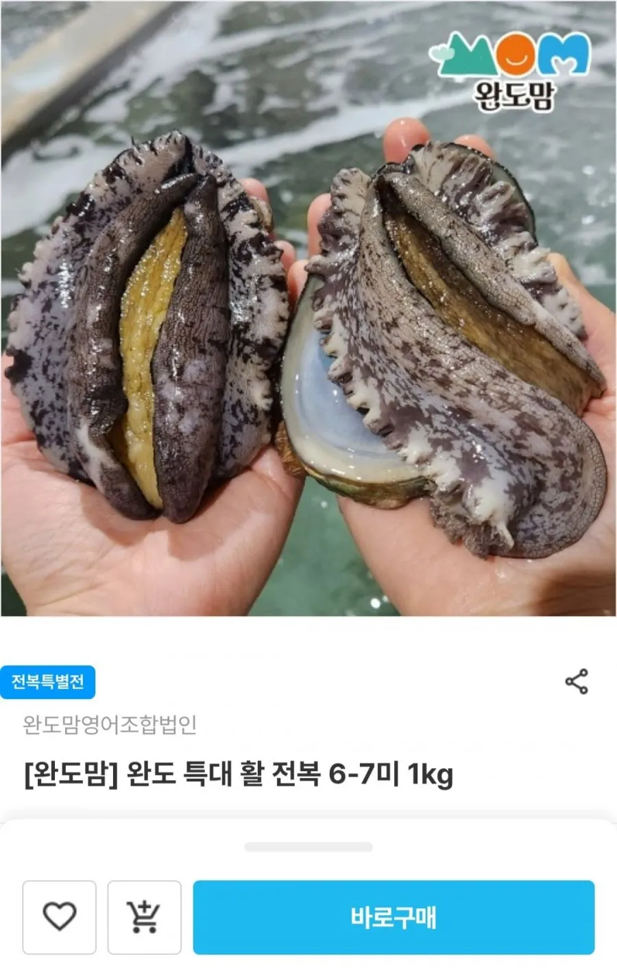 완도 특대 활 전복 6-7미 1kg
