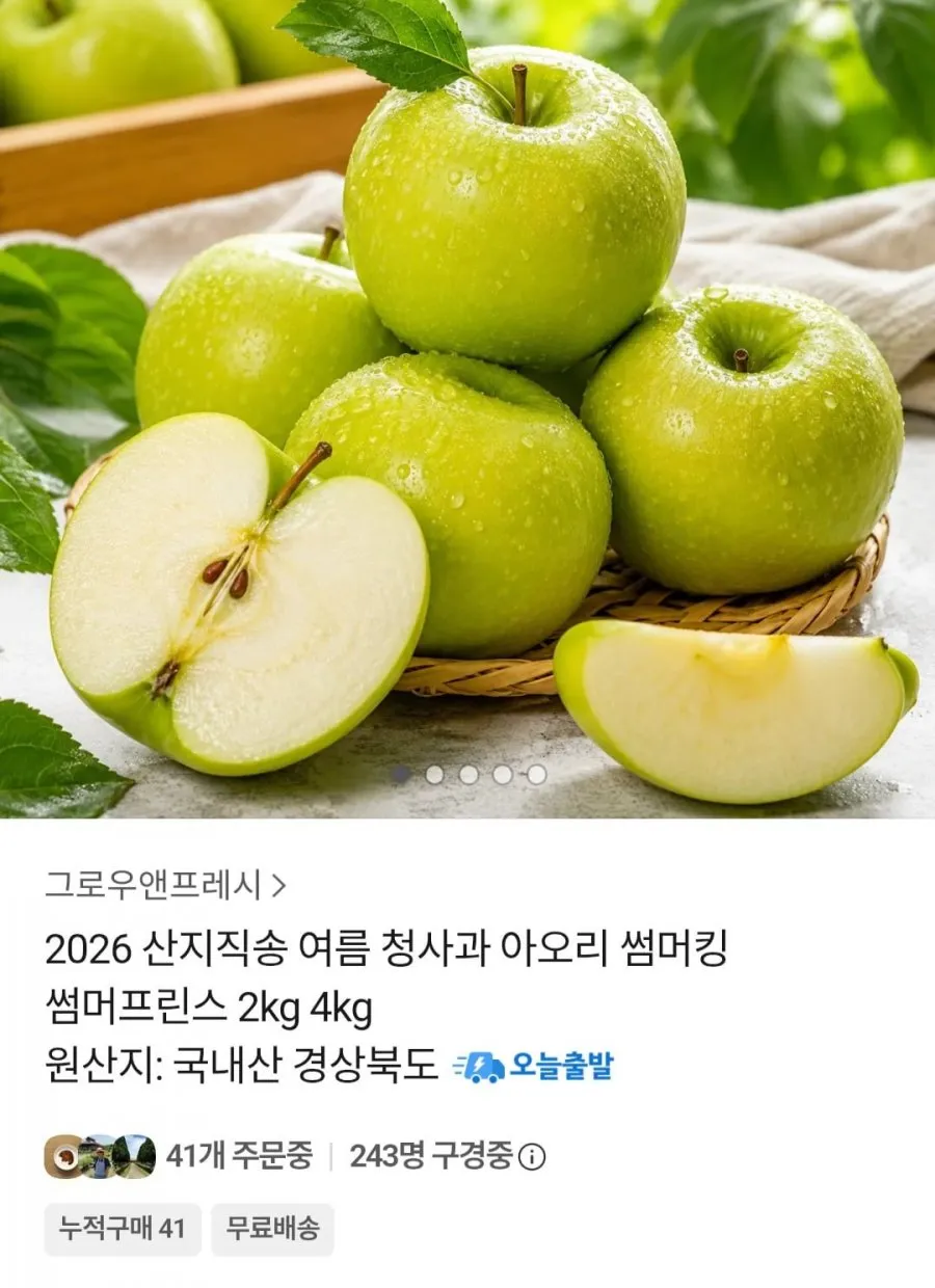 2026 여름 청사과 아오리 2kg