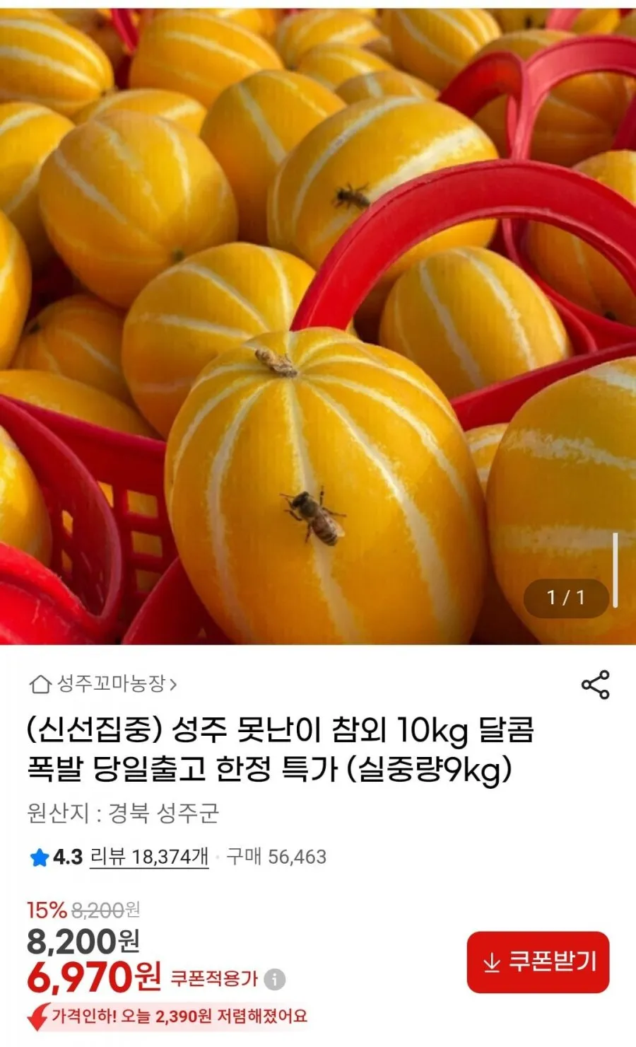 성주 못난이 참외 실중량 9kg