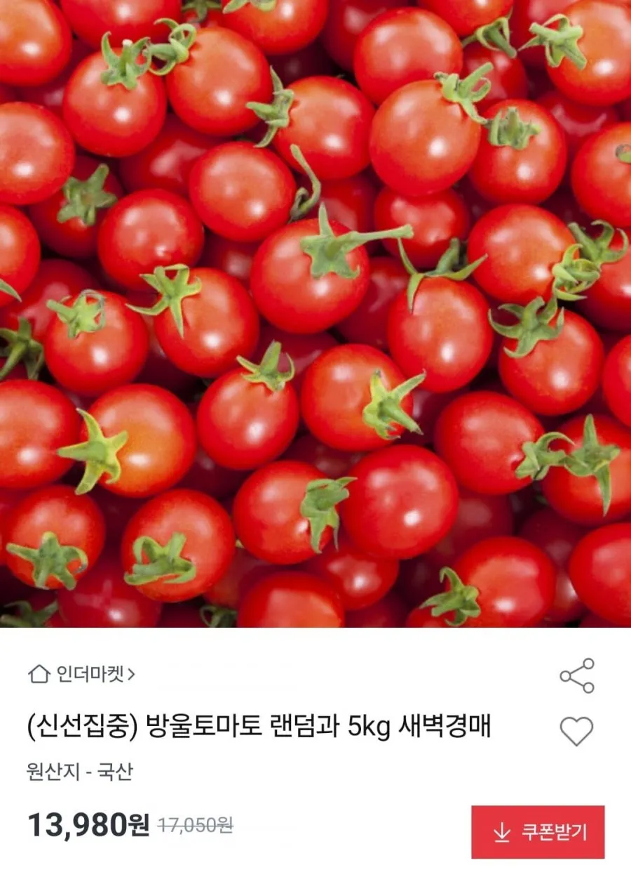방울토마토 랜덤과 5kg