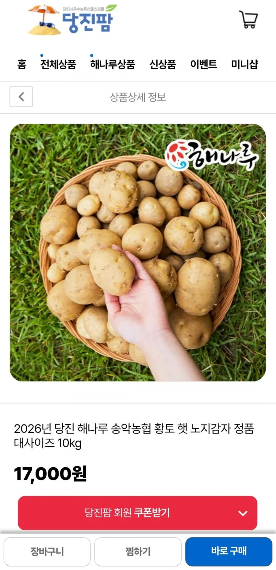 2026년 당진 해나루 송악농협 황토 햇 노지감자 정품 대사이즈 10kg