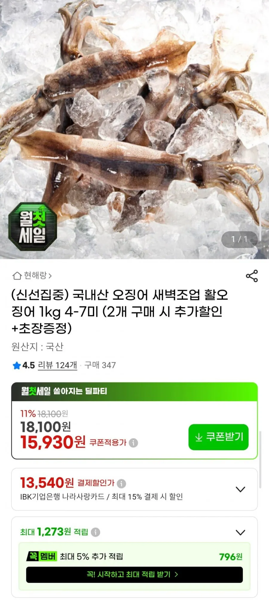 국내산 오징어 새벽조업 활오징어 1kg 4-7미