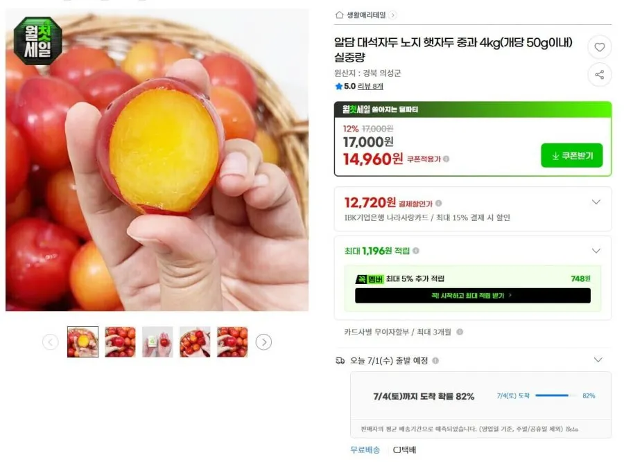 대석자두 노지 햇자두 중과 4kg