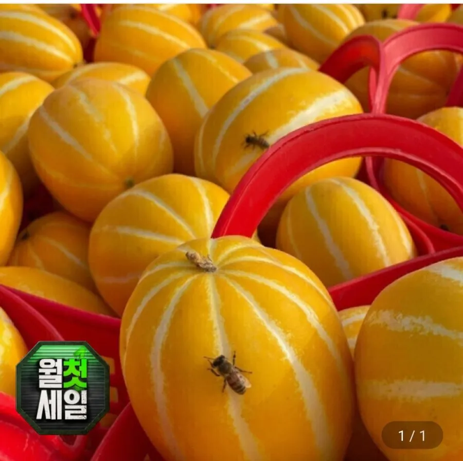 성주 참외 9kg 못난이