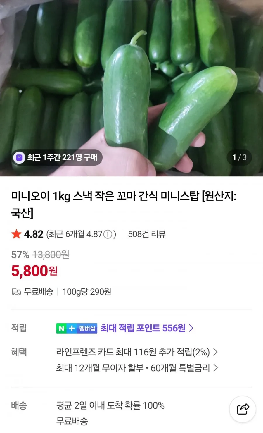 미니오이 2kg