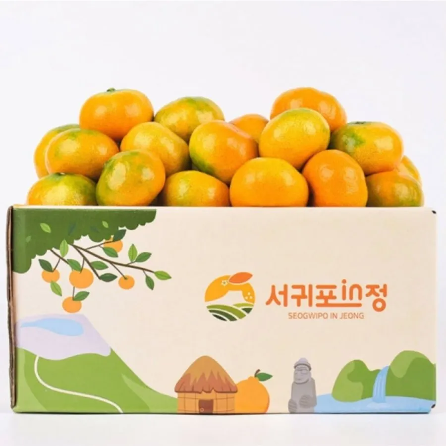 서귀포in정 제주하우스 감귤 2.5kg 중과