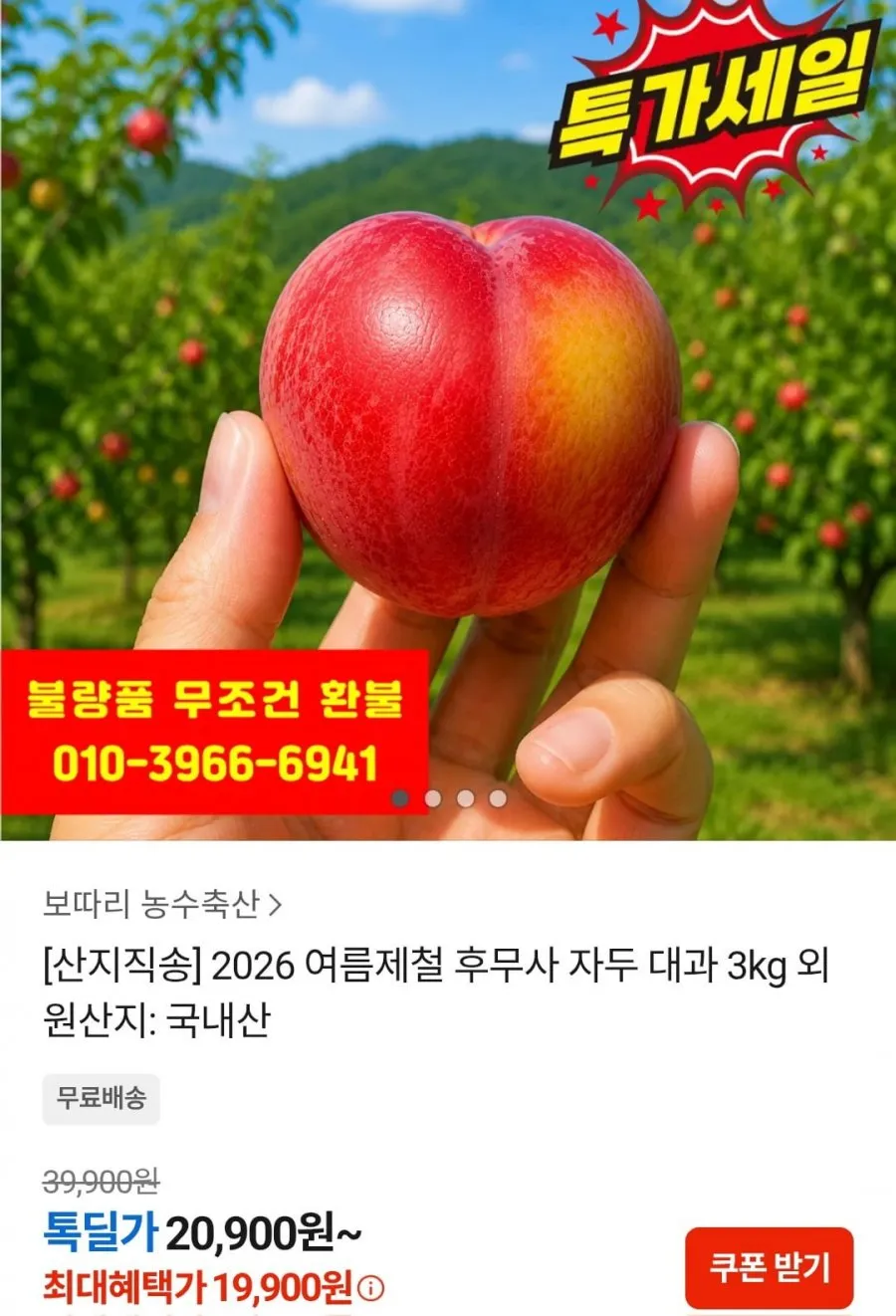 2026 후무사 자두 대과 3kg