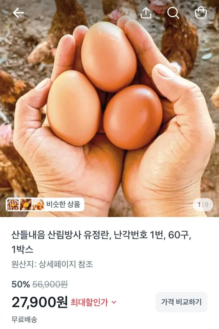 난각번호1번 산림방사 무항생제 유정란 60구 1박스