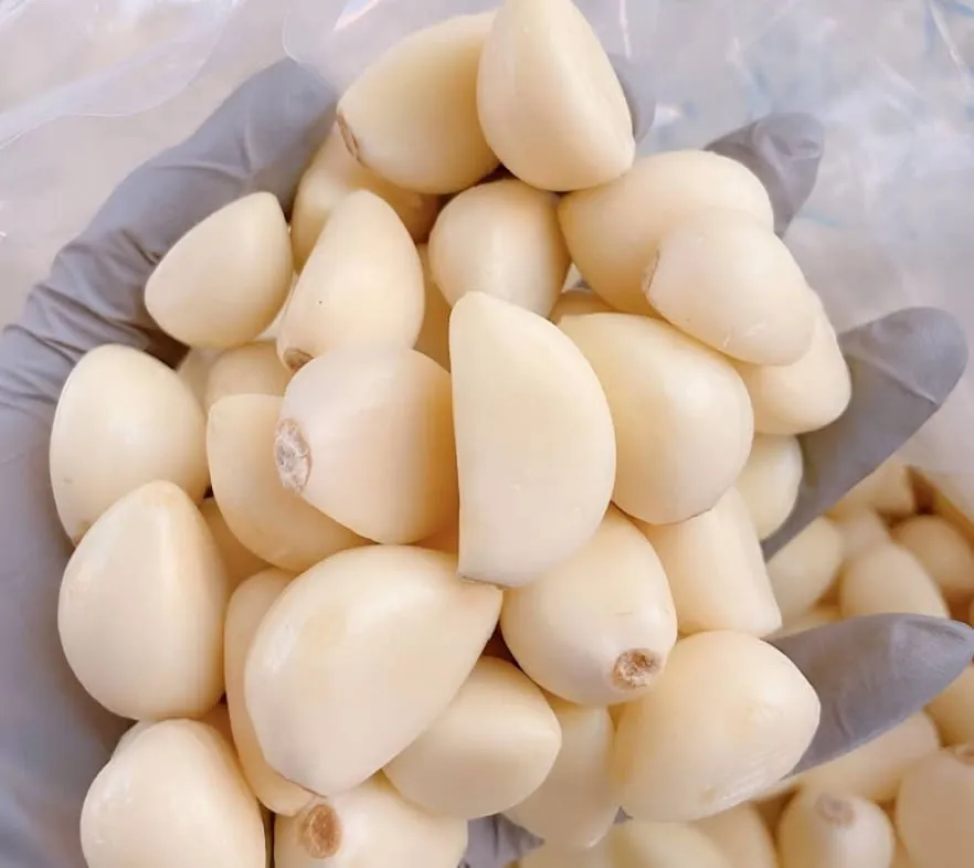 26년산 국내산 남도 깐마늘 500g