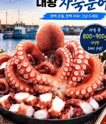 A급 자숙 문어 대 1마리 1kg급 원물 1.3~1.5kg급 900g급
