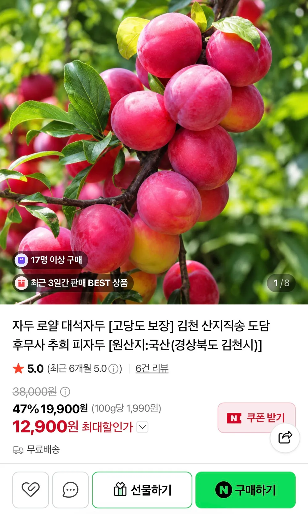 산지직송 고당도 후무사 자두 2KG 중소과