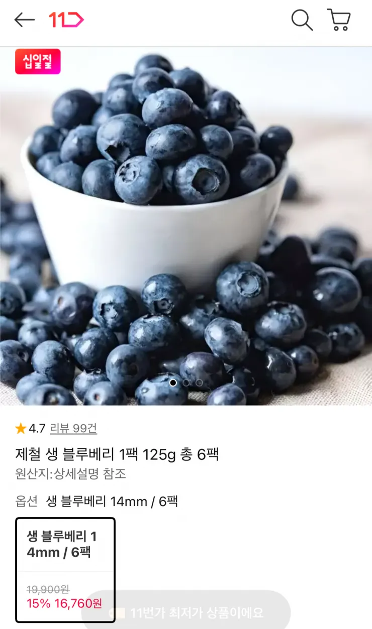제철 생 블루베리 6팩