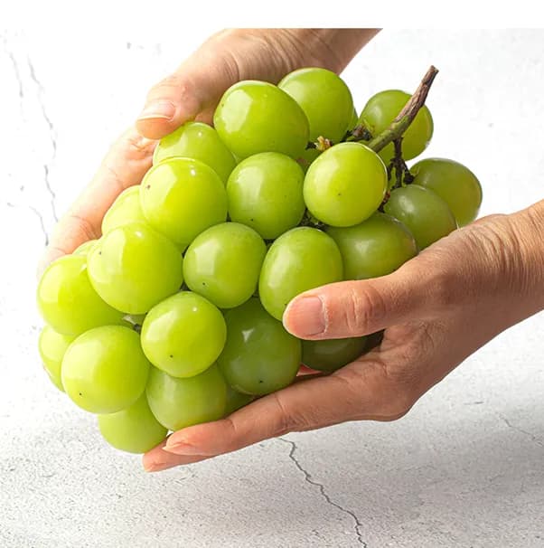산지직송 고당도 샤인머스캣 2kg 3~4수