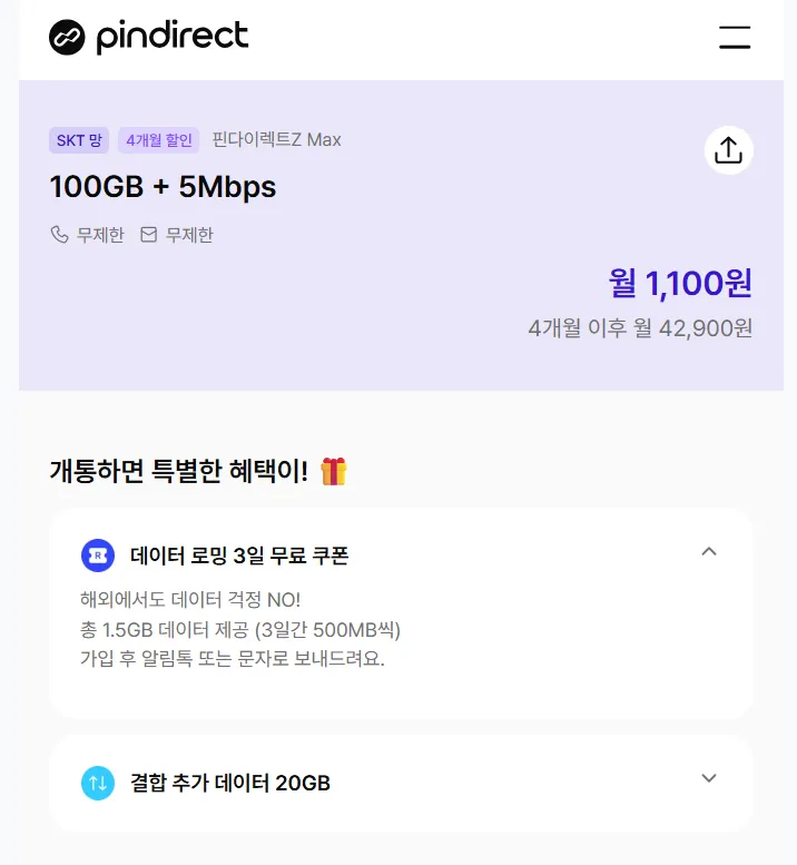 Pindrect SKT망 100GB + 5mps