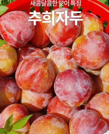산지직송 고당도 추희 가을자두 3kg