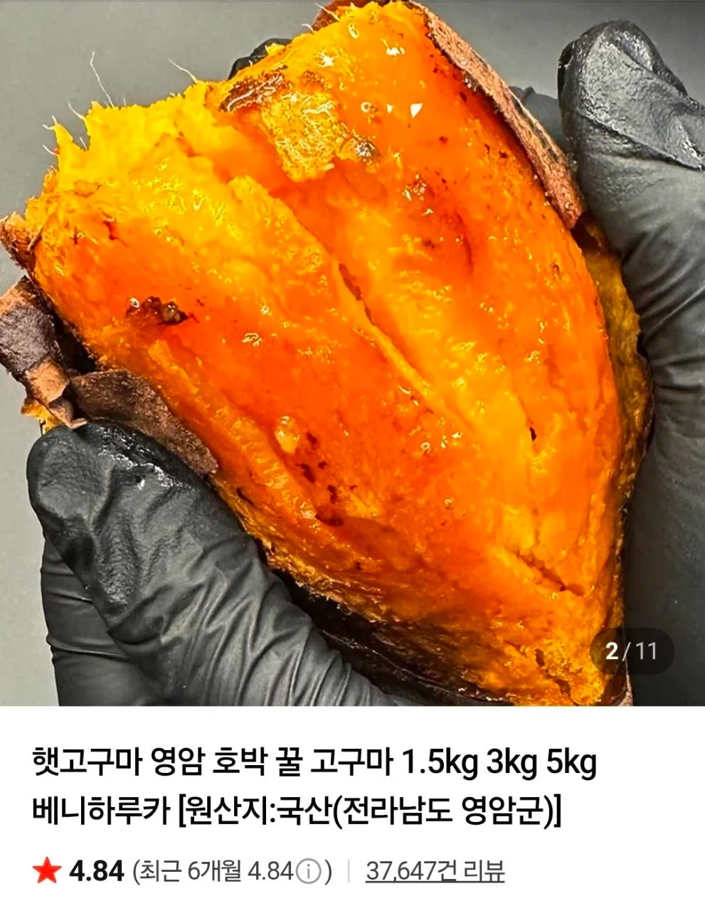 영암 햇 호박고구마 밤고구마 1.5kg 특상