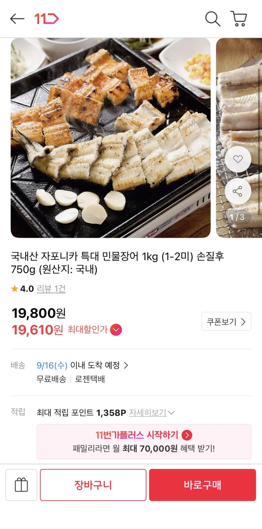 국내산 자포니카 민물장어 특대 1kg