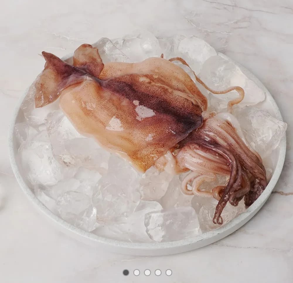 냉동오징어 구이 볶음용 500g