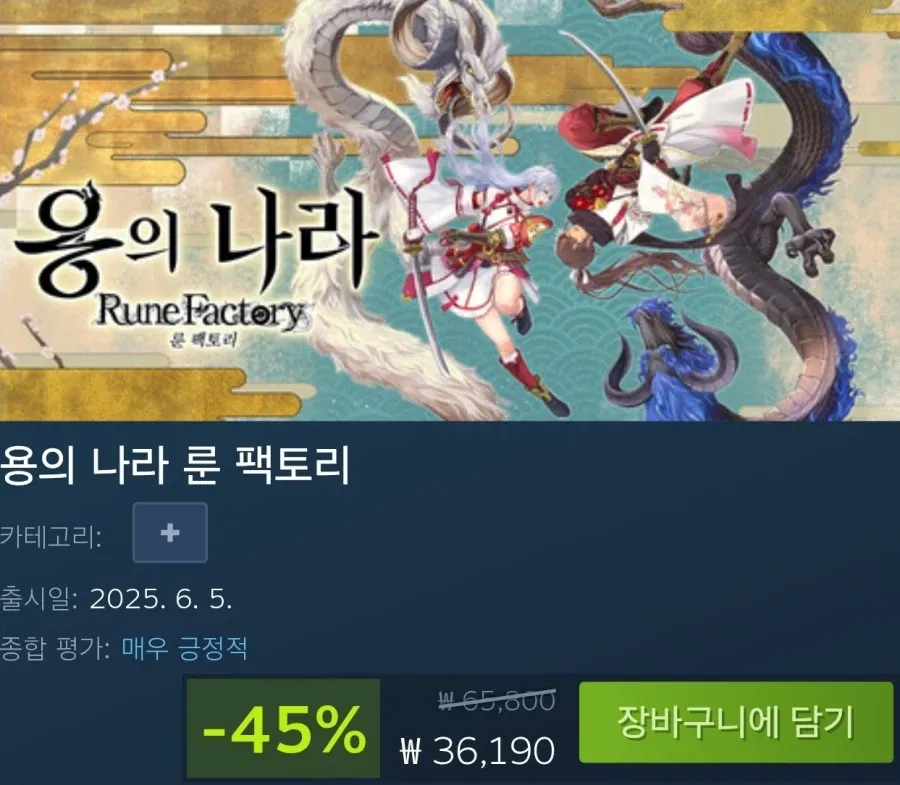 용의 나라 룬 팩토리