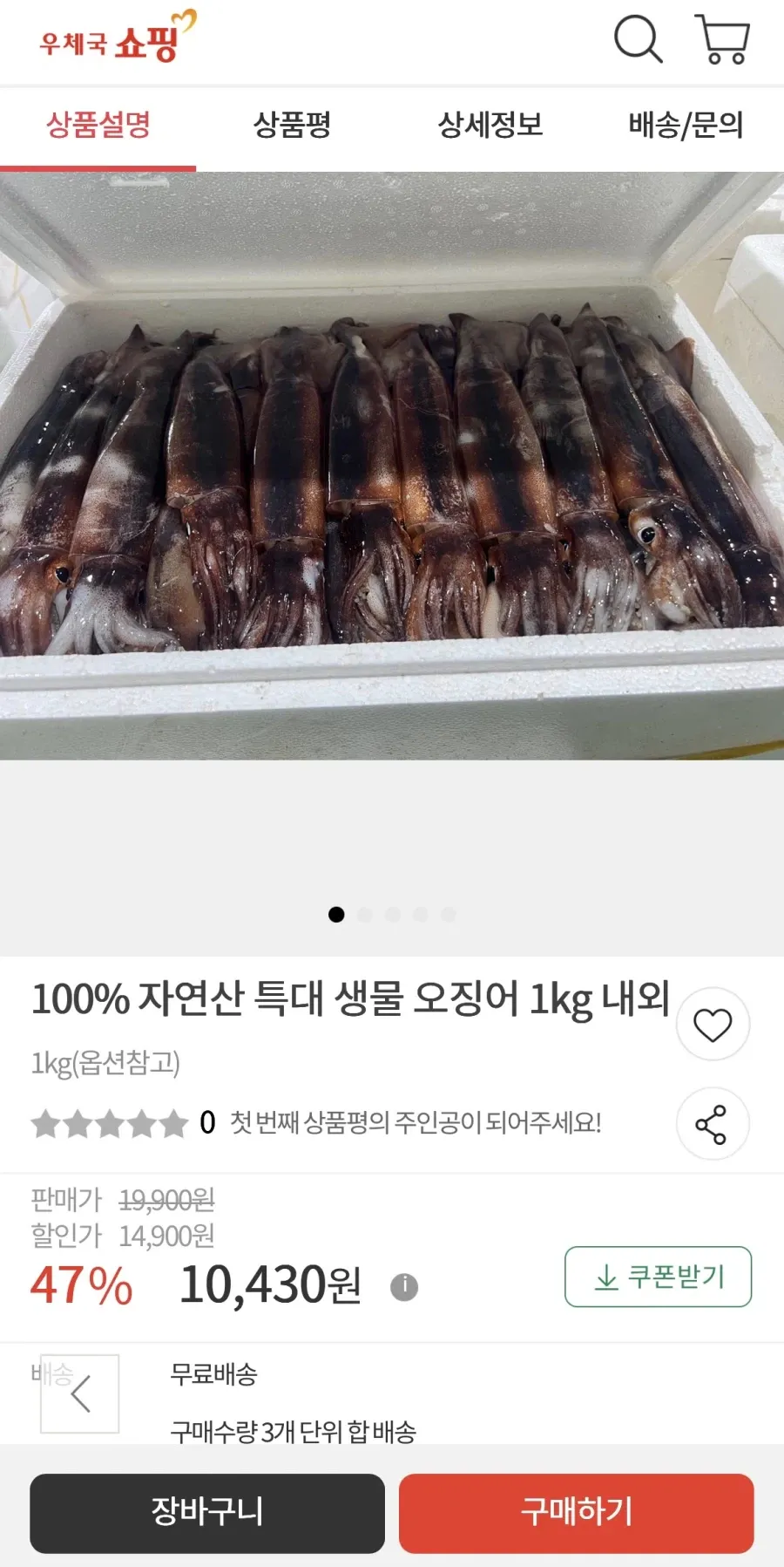 국내산 생물오징어 1kg(4~5미)