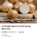 국내산 햇 양파 3kg 2900원/무배