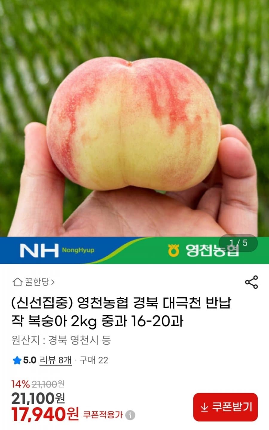 영천농협 대극천 복숭아 2kg 중과
