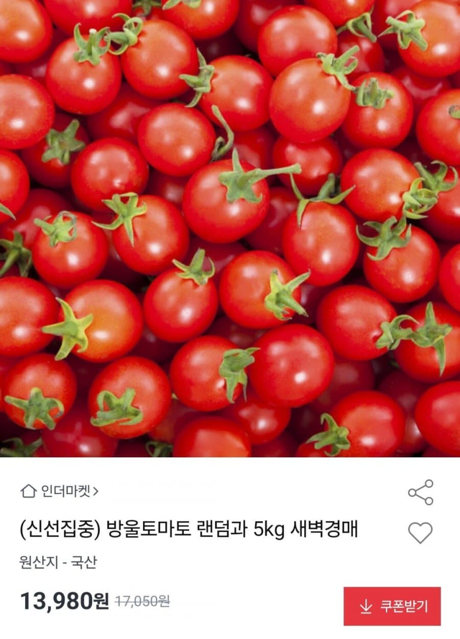 방울토마토 랜덤과 5kg