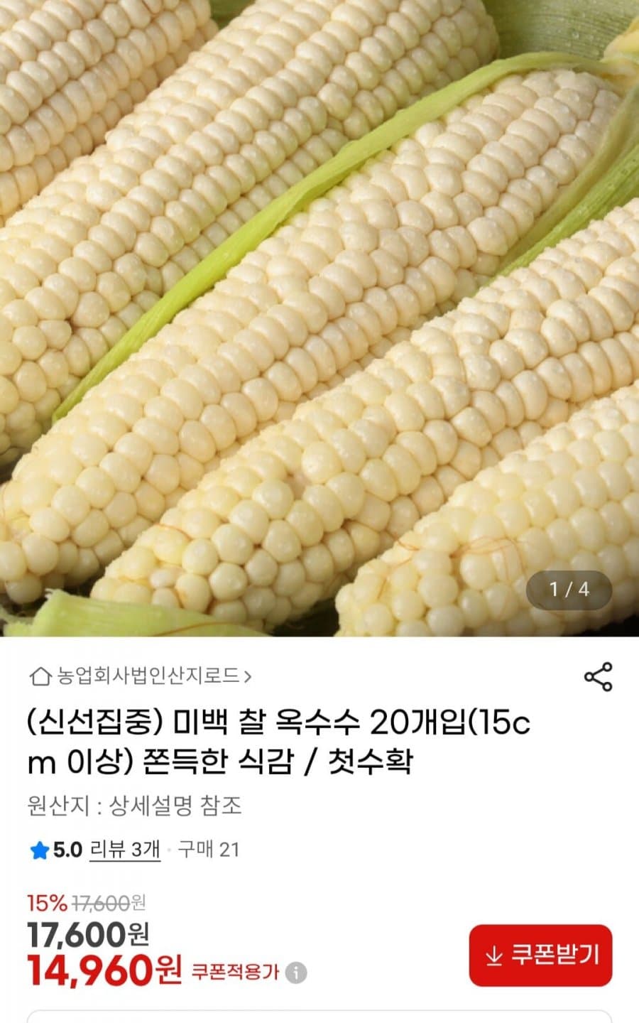 미백 찰옥수수 20개입