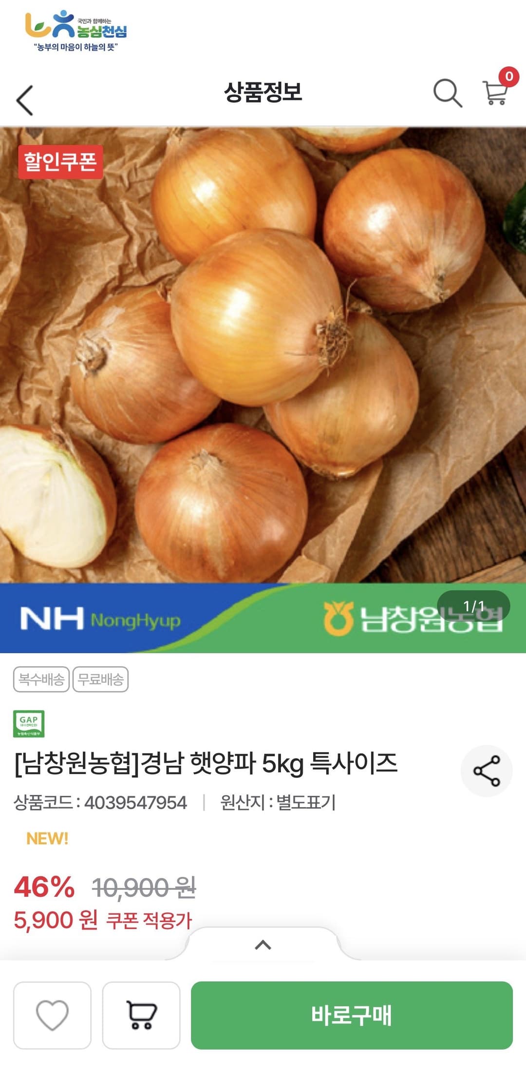 경남 햇양파 5kg 특사이즈