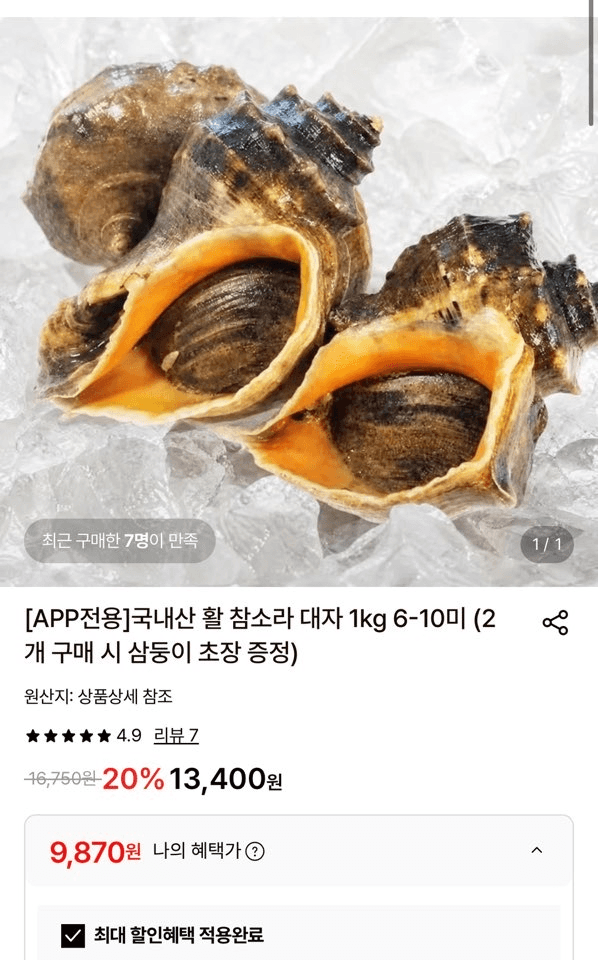 국내산 활 참소라 대자 1kg 6-10미