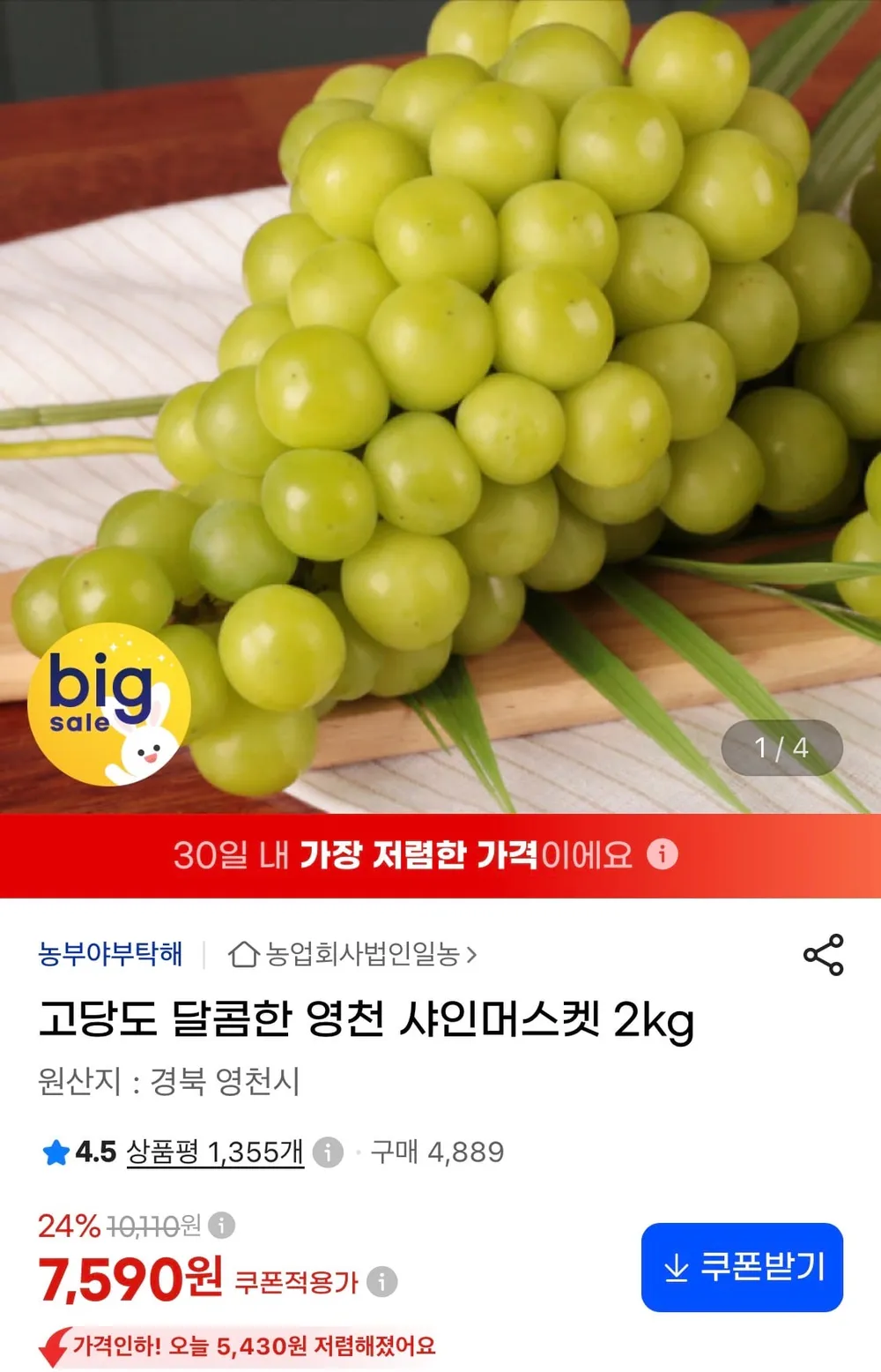 고당도 샤인머스켓 2kg