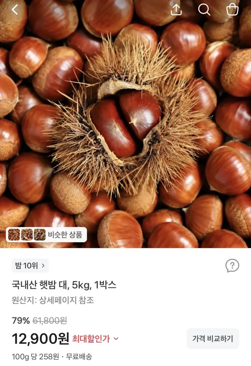 국내산 햇밤 대 5kg