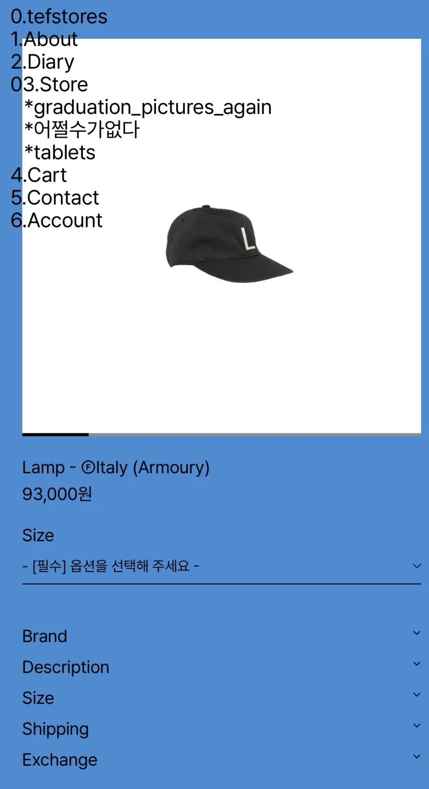 테프스스토어 모자