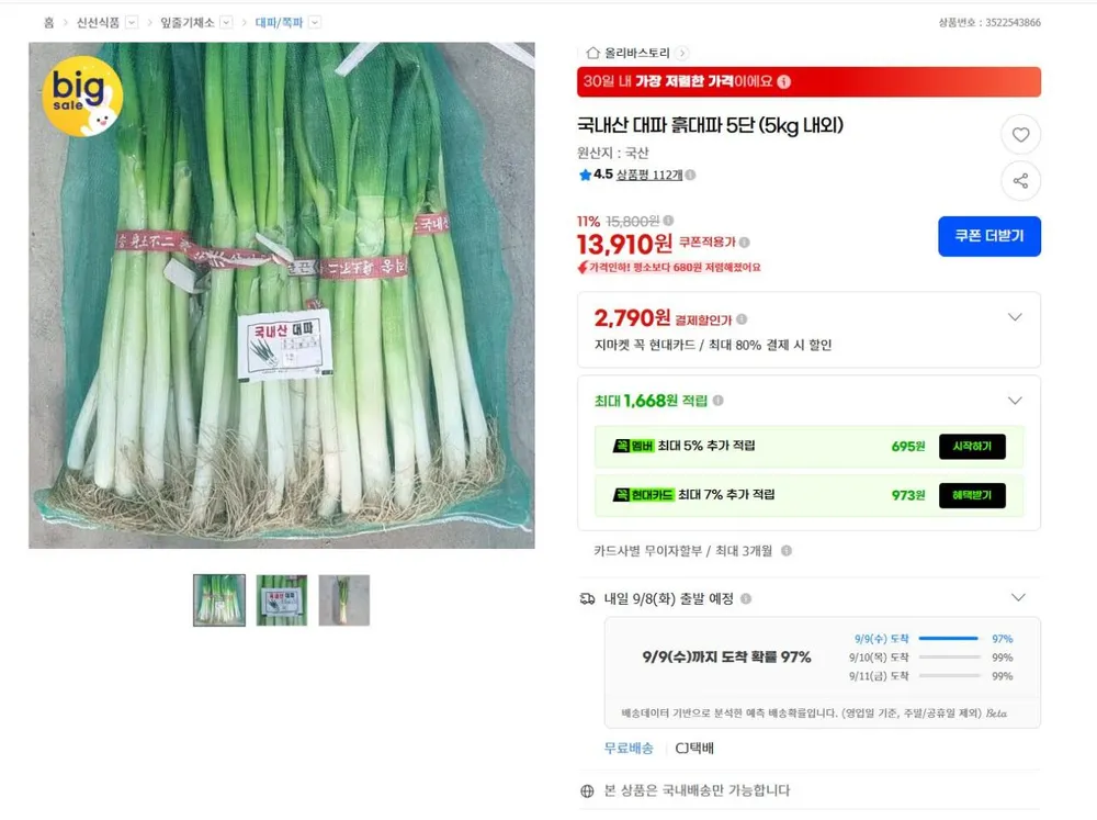 국내산 대파 흙대파 5kg