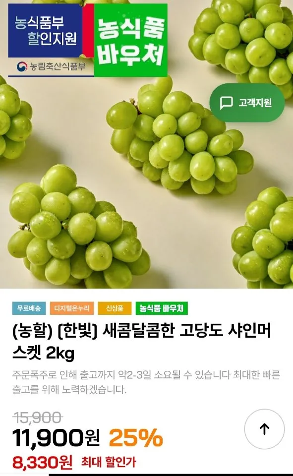 고당도 샤인머스켓 2kg 2-3수