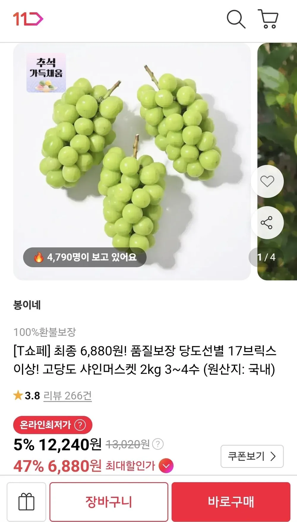 ์ค์ธ๋จธ์ค์ผ 2kg 3~4์