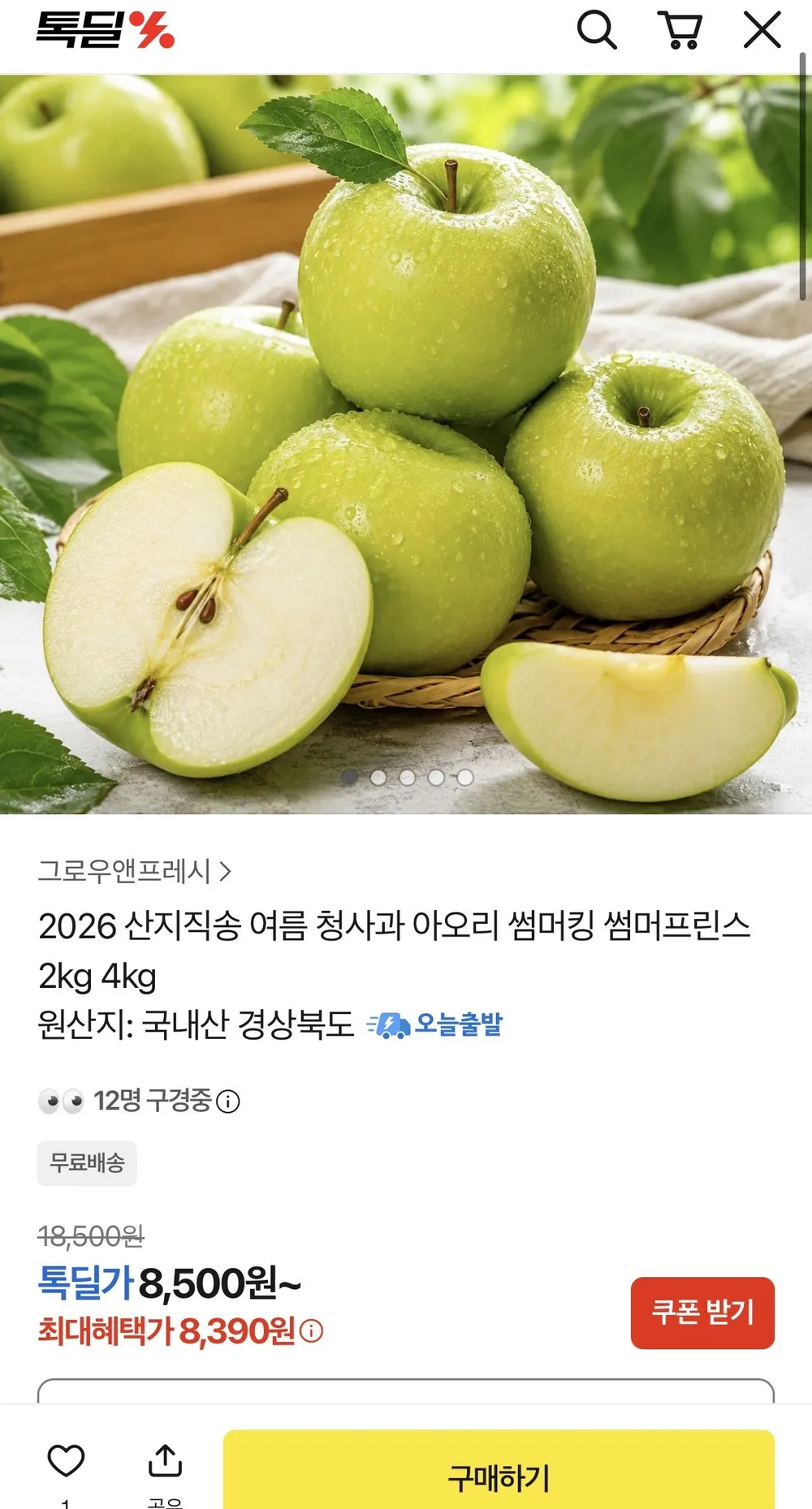썸머킹 사과 2kg