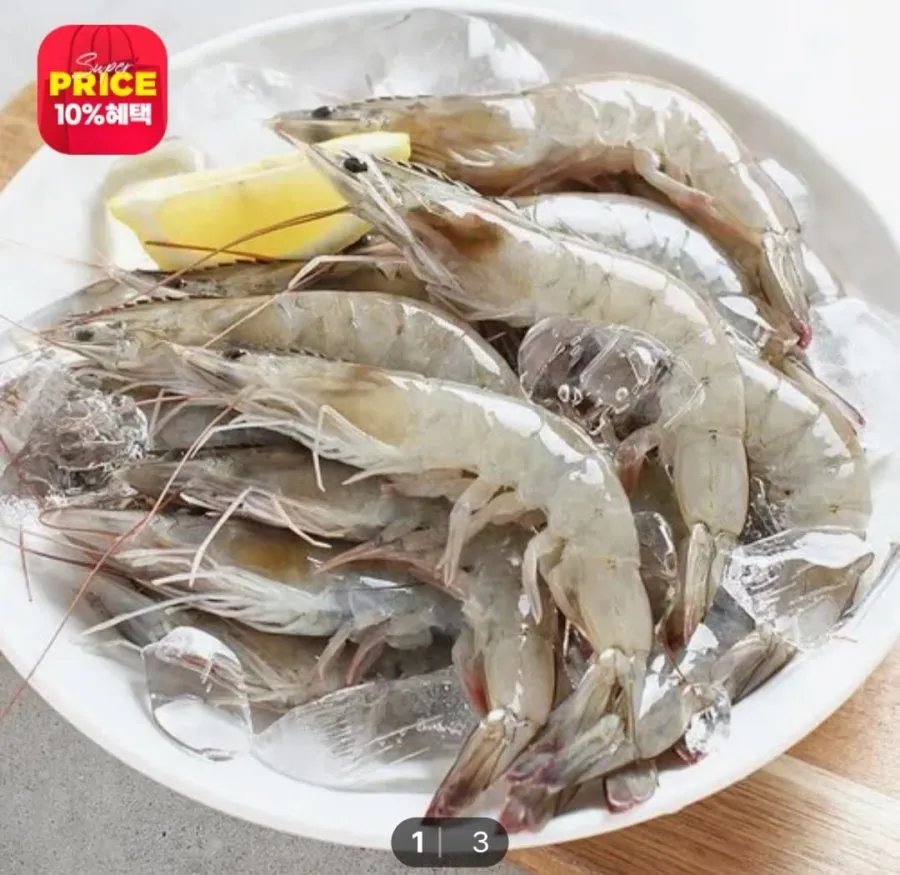 생물 활새우 1kg