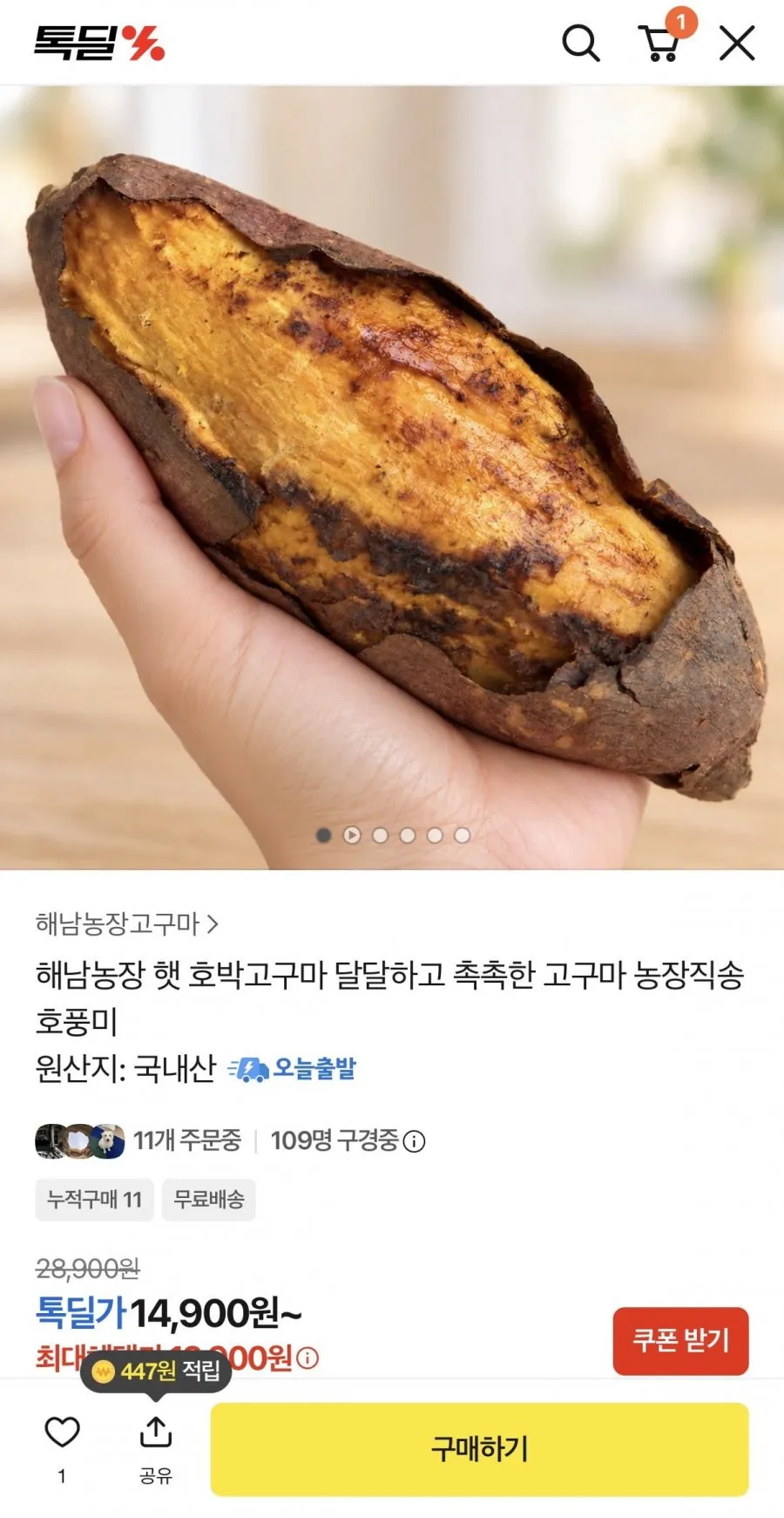 호풍미 햇 호박고구마 2kg
