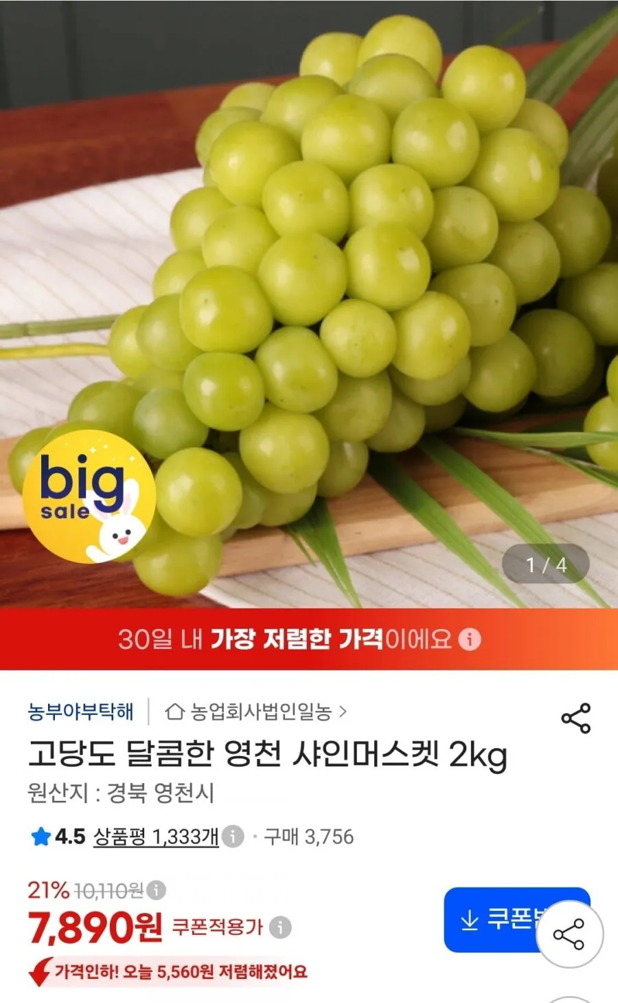 고당도 영천 샤인머스켓 2kg