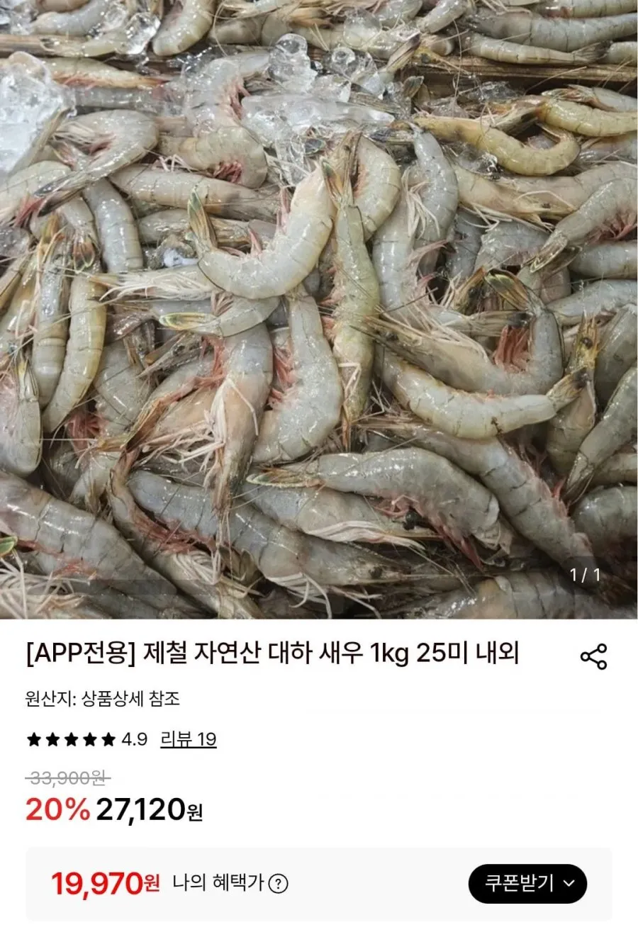 서해 자연산 대하 새우 1kg 25미 내외