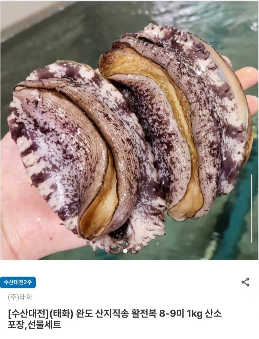 완도 산지직송 활전복 1kg 8~9미