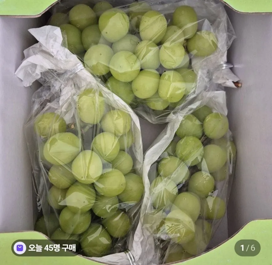 국산 샤인머스켓 1.5kg