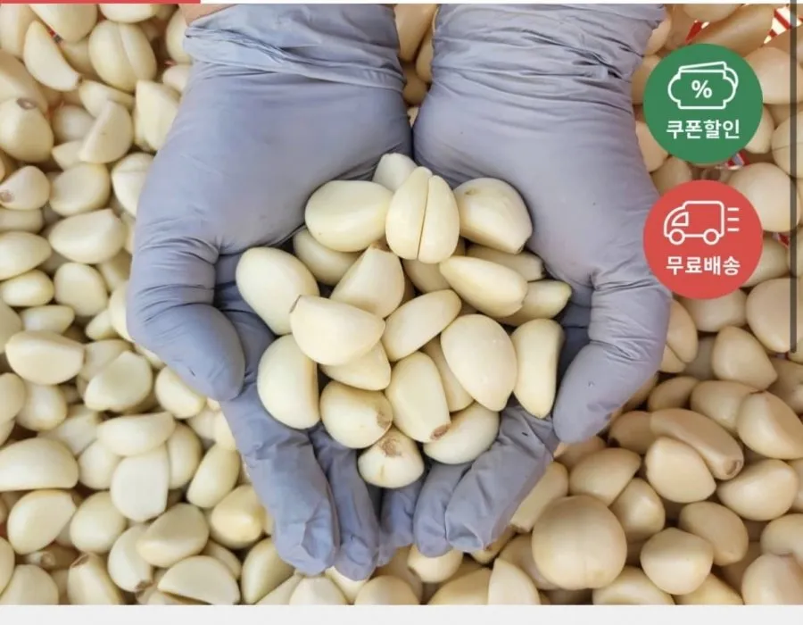26년 국내산 햇 깐마늘 700g 대사이즈