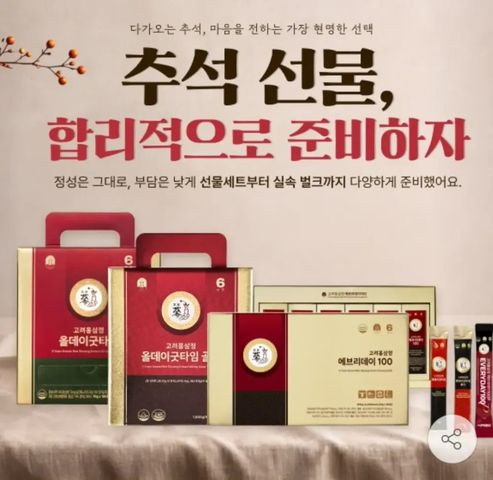 풍년보감 투데이굿타임 홍삼스틱 100포